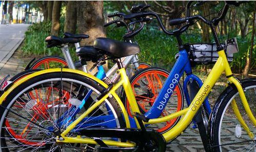 共享自行车爆料案例最新,揭秘行业乱象与用户权益挑战